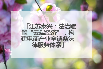 江苏泰兴：法治赋能“云端经济”，构建电商产业全链条法律服务体系