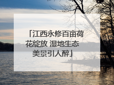 江西永修百亩荷花绽放 湿地生态美景引人醉