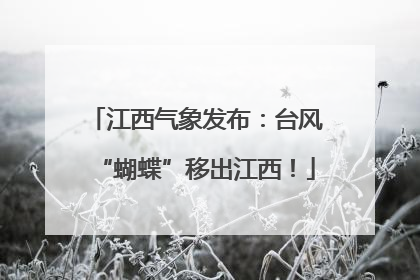 江西气象发布：台风“蝴蝶”移出江西！
