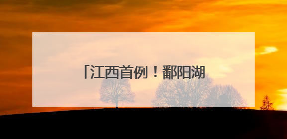江西首例！鄱阳湖湿地彩鹮喜添新丁