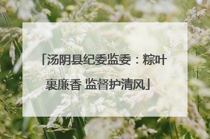 汤阴县纪委监委：粽叶裹廉香 监督护清风