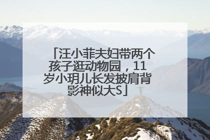 汪小菲夫妇带两个孩子逛动物园，11岁小玥儿长发披肩背影神似大S