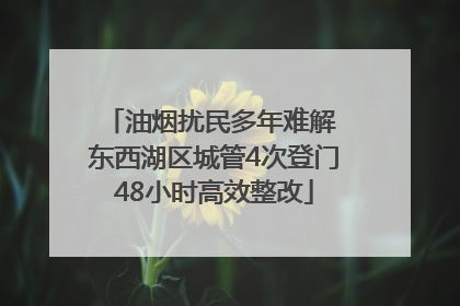 油烟扰民多年难解 东西湖区城管4次登门48小时高效整改