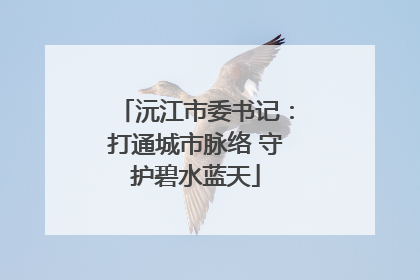 沅江市委书记：打通城市脉络 守护碧水蓝天