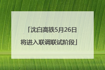 沈白高铁5月26日将进入联调联试阶段