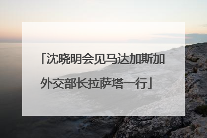 沈晓明会见马达加斯加外交部长拉萨塔一行
