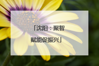 沈阳：聚智赋能促振兴