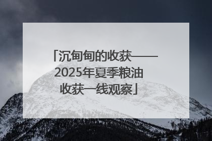 沉甸甸的收获——2025年夏季粮油收获一线观察