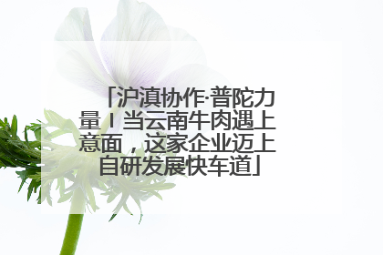 沪滇协作·普陀力量〡当云南牛肉遇上意面，这家企业迈上自研发展快车道