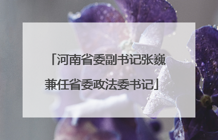 河南省委副书记张巍兼任省委政法委书记