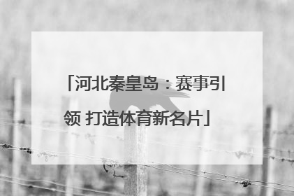 河北秦皇岛：赛事引领 打造体育新名片