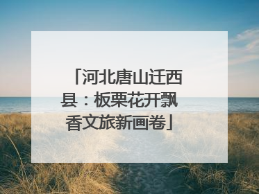 河北唐山迁西县：板栗花开飘香文旅新画卷