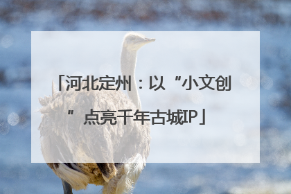 河北定州：以“小文创”点亮千年古城IP