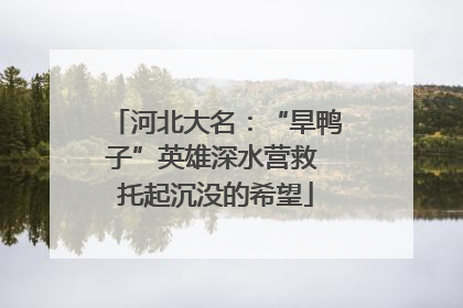 河北大名：“旱鸭子”英雄深水营救 托起沉没的希望