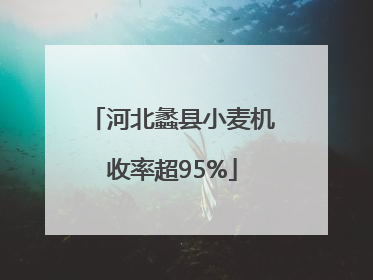 河北蠡县小麦机收率超95%