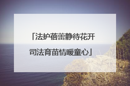 法护蓓蕾静待花开 司法育苗情暖童心