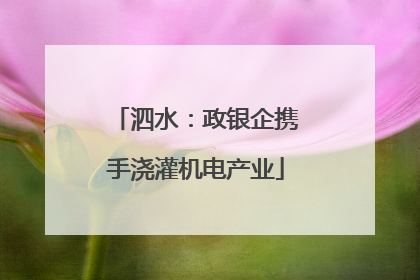 泗水：政银企携手浇灌机电产业