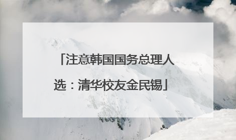 注意韩国国务总理人选：清华校友金民锡
