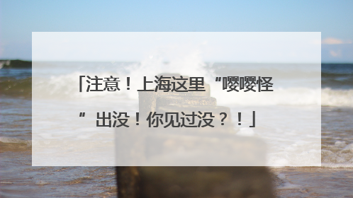 注意！上海这里“嘤嘤怪”出没！你见过没？！