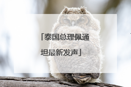 泰国总理佩通坦最新发声
