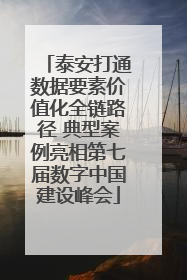 泰安打通数据要素价值化全链路径 典型案例亮相第七届数字中国建设峰会