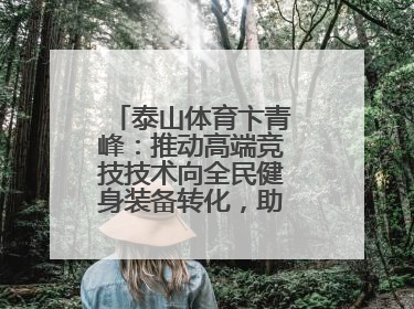 泰山体育卞青峰：推动高端竞技技术向全民健身装备转化，助力乡村振兴