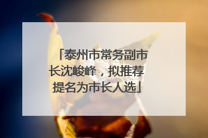 泰州市常务副市长沈峻峰，拟推荐提名为市长人选