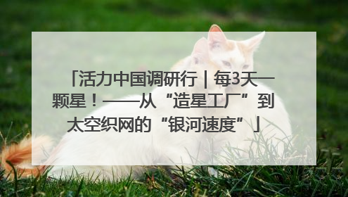 活力中国调研行｜每3天一颗星！——从“造星工厂”到太空织网的“银河速度”