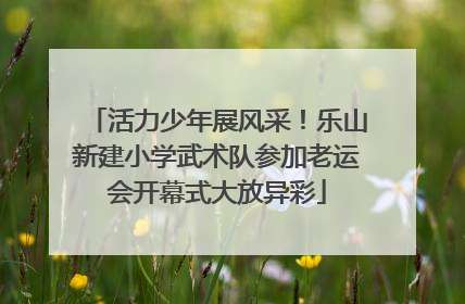 活力少年展风采！乐山新建小学武术队参加老运会开幕式大放异彩