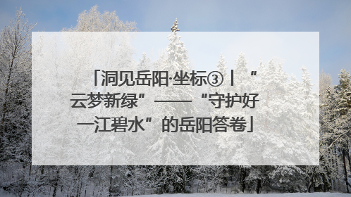 洞见岳阳·坐标③丨“云梦新绿”——“守护好一江碧水”的岳阳答卷