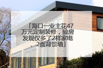 海口一业主花47万元定制装修，验房发现仅多了2样家电、2面背景墙