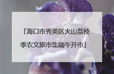 海口市秀英区火山荔枝季农文旅市集端午开市