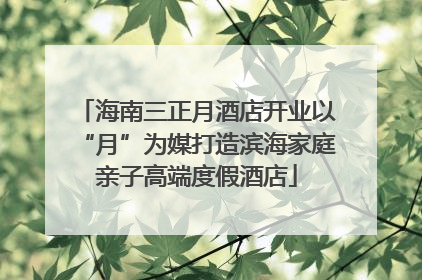 海南三正月酒店开业以“月”为媒打造滨海家庭亲子高端度假酒店