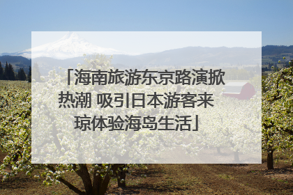 海南旅游东京路演掀热潮 吸引日本游客来琼体验海岛生活