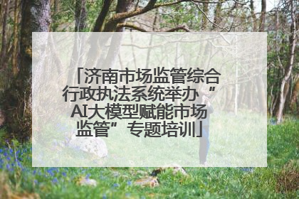 济南市场监管综合行政执法系统举办“AI大模型赋能市场监管”专题培训