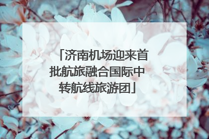 济南机场迎来首批航旅融合国际中转航线旅游团