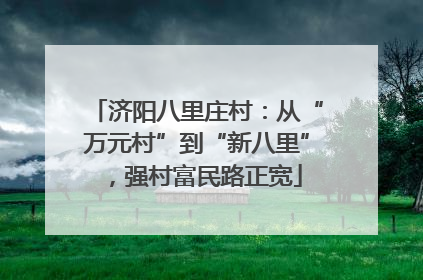 济阳八里庄村：从“万元村”到“新八里”，强村富民路正宽