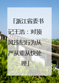 浙江省委书记王浩：对顶风违纪行为从严从重从快处理