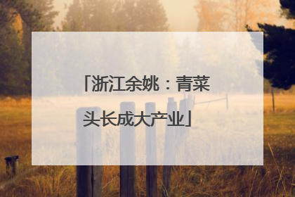 浙江余姚：青菜头长成大产业
