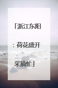 浙江东阳：荷花盛开采摘忙