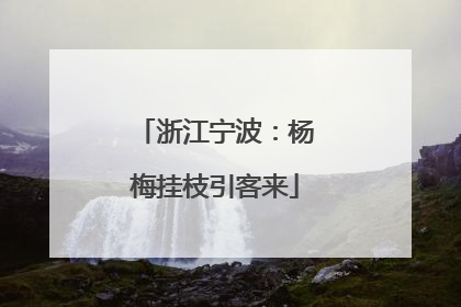 浙江宁波：杨梅挂枝引客来