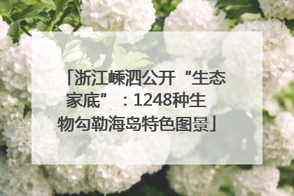 浙江嵊泗公开“生态家底”：1248种生物勾勒海岛特色图景