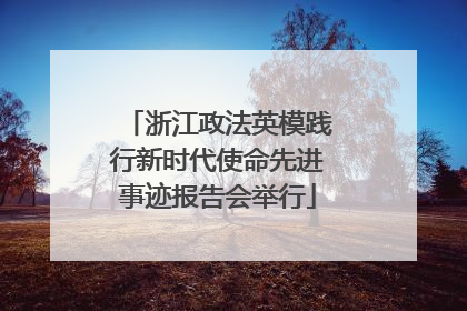 浙江政法英模践行新时代使命先进事迹报告会举行