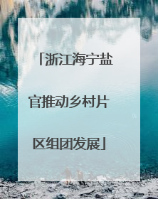 浙江海宁盐官推动乡村片区组团发展