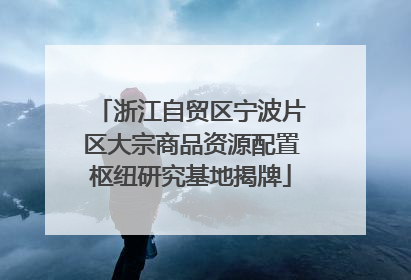 浙江自贸区宁波片区大宗商品资源配置枢纽研究基地揭牌