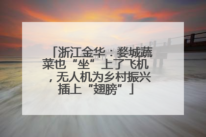 浙江金华：婺城蔬菜也“坐”上了飞机，无人机为乡村振兴插上“翅膀”