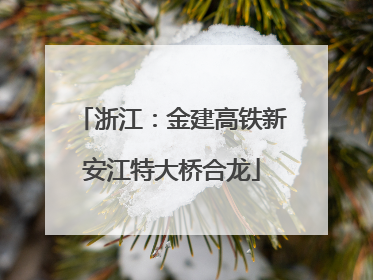 浙江：金建高铁新安江特大桥合龙
