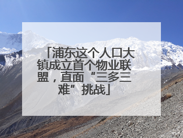 浦东这个人口大镇成立首个物业联盟，直面“三多三难”挑战
