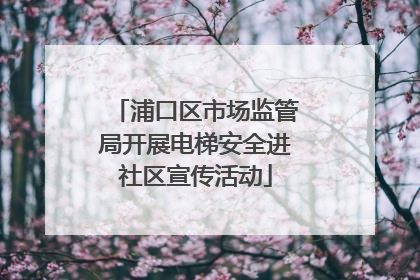 浦口区市场监管局开展电梯安全进社区宣传活动
