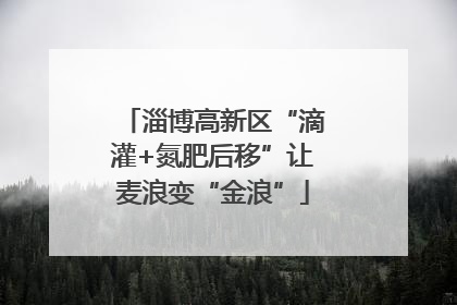淄博高新区“滴灌+氮肥后移”让麦浪变“金浪”